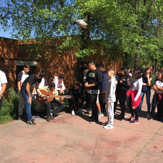 Actividad Teleraña. Arte en Usera 2