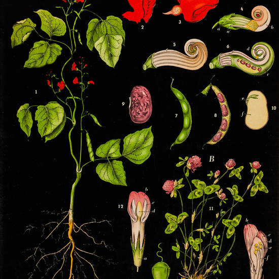 IES_LOPEDEVEGA_CIENCIASNATURALES_006