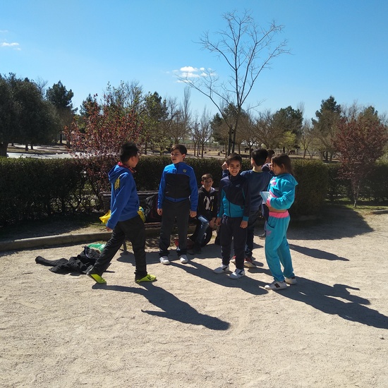 Arqueopinto 4º 19 5