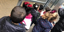 Excursión a la granja (Infantil) 27
