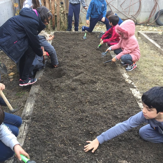 El año hortelano de 4º B 3