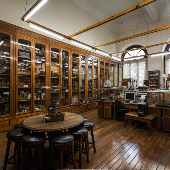 IES_CARDENALCISNEROS_EDIFICIO_012