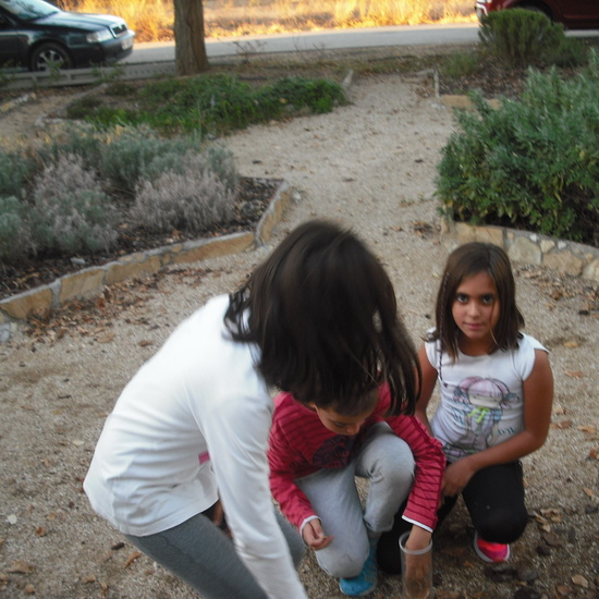 granja sexta parte 31