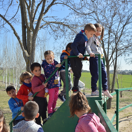 GRANJA ESCUELA ALBITANA 6