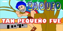 ZAQUEO QUE TE VEO