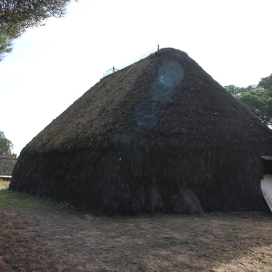 Blog Doñana (Imagen 1)