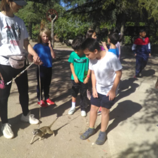 NOCHE MÁGICA 2019 (1ª parte) 6