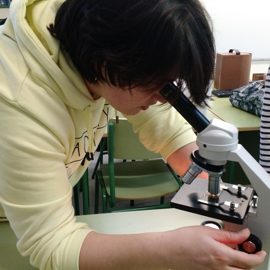 Usando el microscopio 6