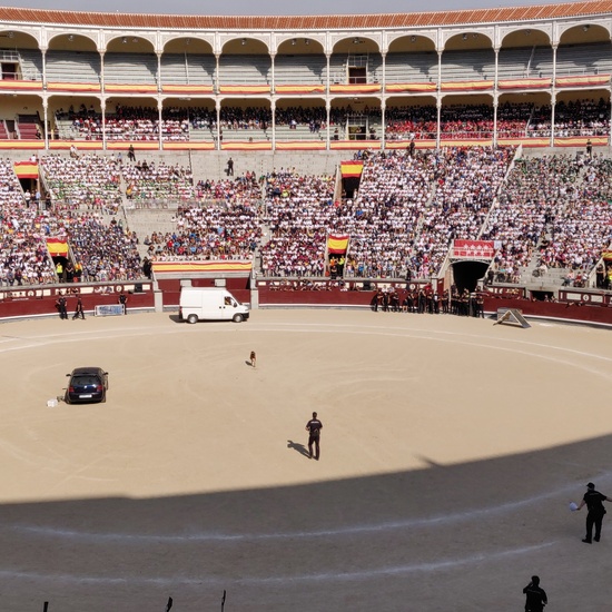 Las Ventas 2019 14