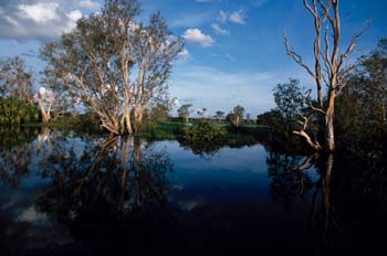 Parque Nacional Kakadu, Australia
