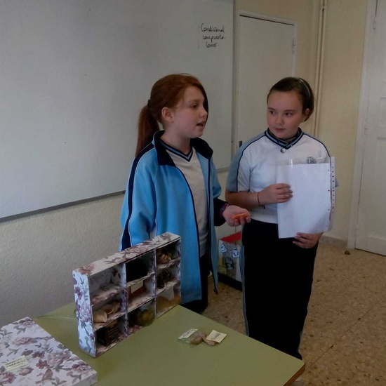 Exposiciones 5º B EP 15