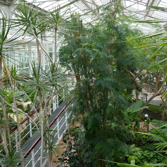 INVERNADERO DE ARGANZUELA 20