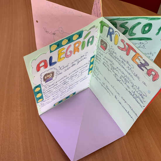 Libro de las Emociones