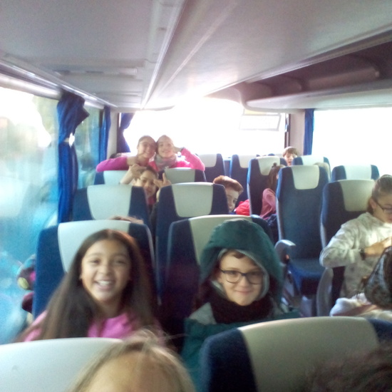 VISITA A GREFA. 5º CURSO 16