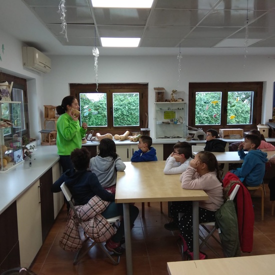 REVOLOTEANDO POR BOSQUE SUR -  3º PRIMARIA (CURSO 19/20) 18