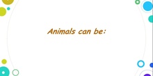Animals revision