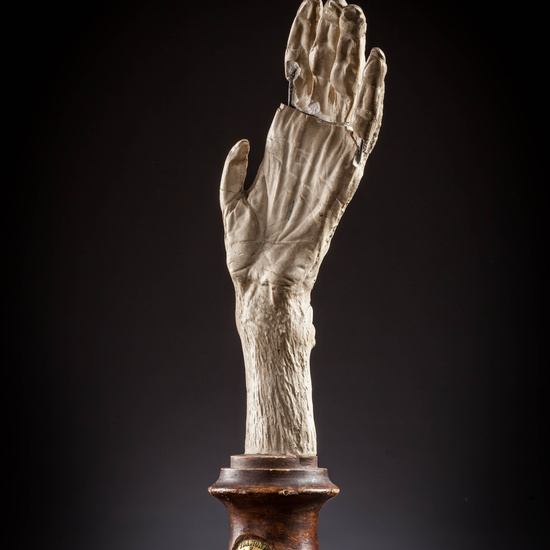 IES_SANISIDRO_MUSEO_Zoolgía_064