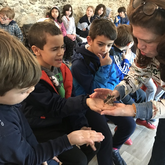 2020_02_27_3º visita Insectpark (5)_CEIP FDLR_Las Rozas 1