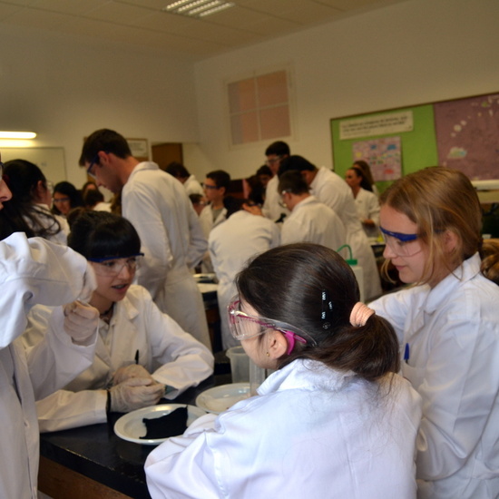 Proyecto de Aprendizaje y Servicio 12