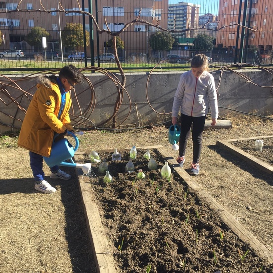 El año hortelano de 4º B 12