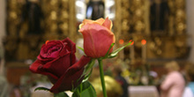 Flores para Santa Rita de Casia, Santiago de Compostela, La Coru