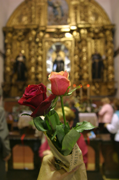 Flores para Santa Rita de Casia, Santiago de Compostela, La Coru