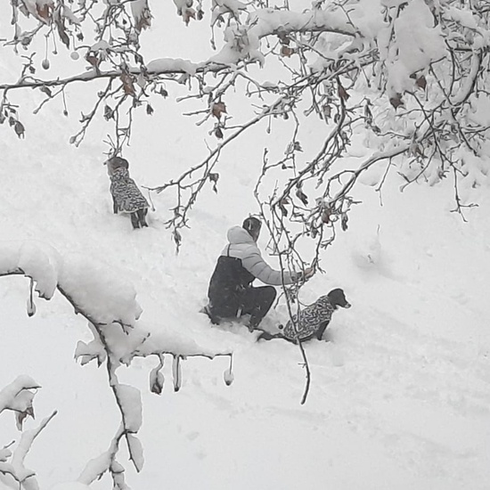 Fotografías Filomena 1