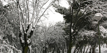 Parque de la Ventilla nevado, Madrid