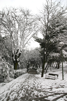 Parque de la Ventilla nevado, Madrid