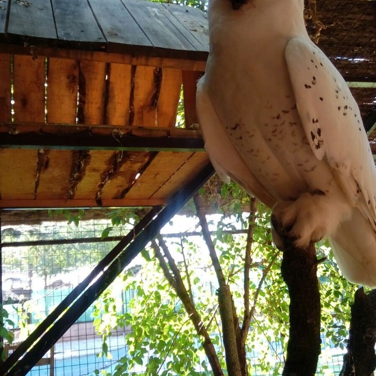 Granja Escuela 1º y 2º EP 2017-18_24_3 8