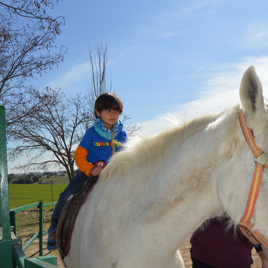 GRANJA ESCUELA ALBITANA 25