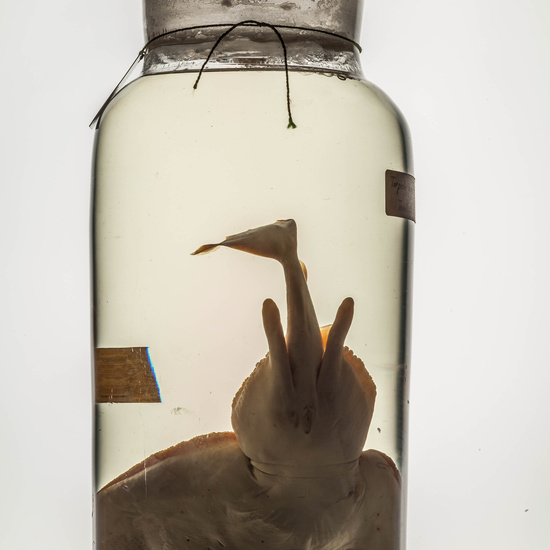 IES_CARDENALCISNEROS_CIENCIASNATURALES_180