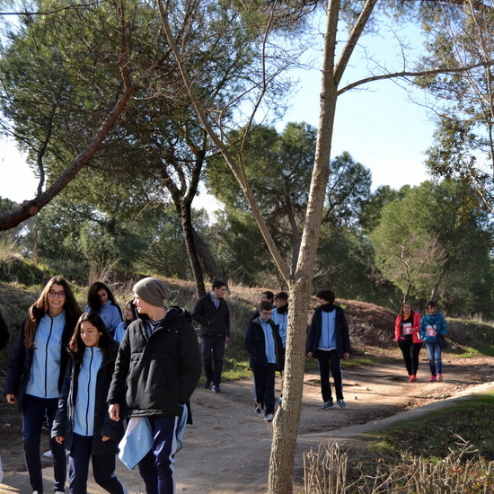 DÍA DE LA PAZ 2018_3 14