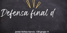 JAVIER OCHOA. CID 11. DEFENSA FINAL PORTFOLIO