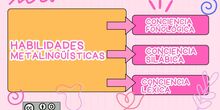Esquema habilidades metalingüísticas