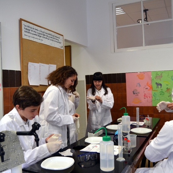 Proyecto de Aprendizaje y Servicio  26