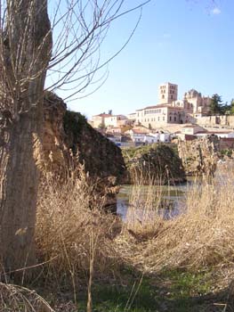 Vista de la Catedral y el Puente Romano de Zamora, Castilla y Le