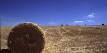 Paja recojida en el campo, Segovia, Castilla y León