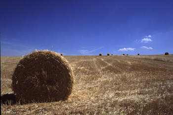 Paja recojida en el campo, Segovia, Castilla y León