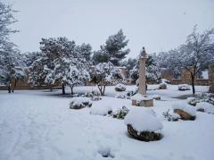 Fotografías Filomena 29