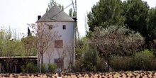 Molino de viento, Puerto Lápice, Ciudad Real, Castilla-La Mancha