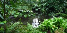 Parque Estufa Fría, Lisboa, Portugal