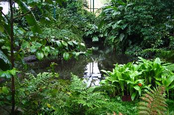 Parque Estufa Fría, Lisboa, Portugal
