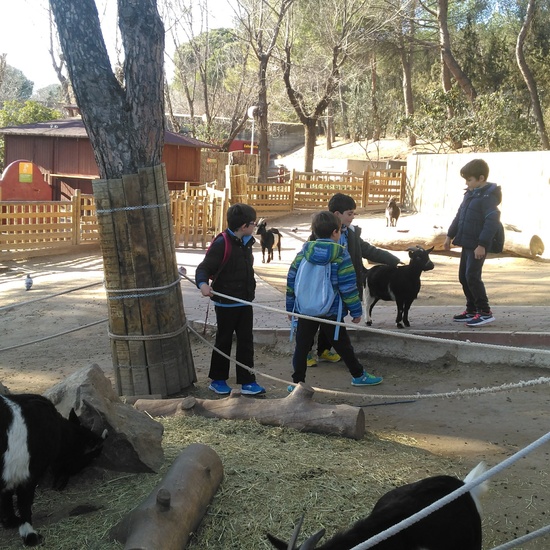 3ºE- Fotos Primer Trimestre 42