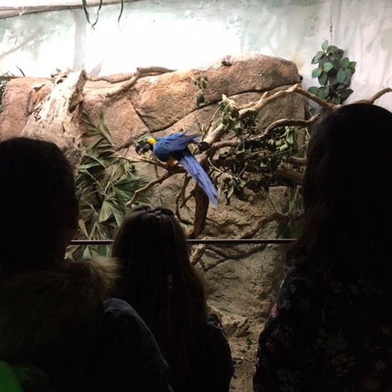 Parque de la Naturaleza. Faunia. 5º Curso. 19