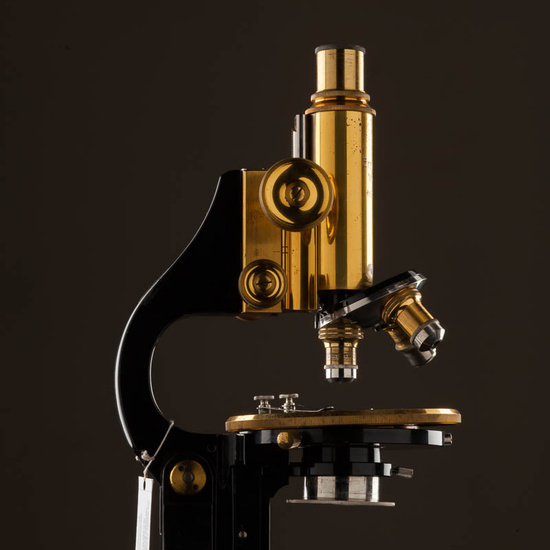 IES_ISABELLACATOLICA_BIOLOGIA_528