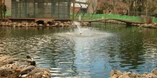 Parque la Alamedilla en Salamanca, Castilla y León