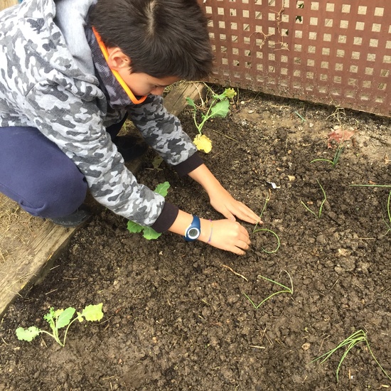 El año hortelano de 4º B 14