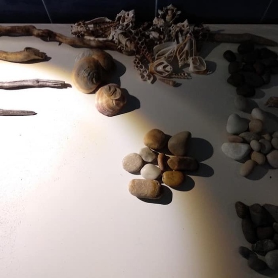 Taller Createctura - AFA Almudena 1