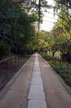 Jardín botánico